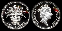 Great-Britain-Elizabeth-II-Pound-1989-AR