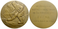 Medals-Czechoslovakia-Republic-Medal-1928-AE