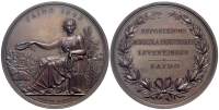 Medals-Switzerland-Ticino-Medal-1893-AE